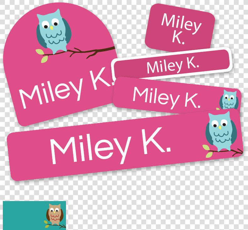 Back To School Personalized Owl Labels   Snowy Owl  HD Png DownloadTransparent PNG