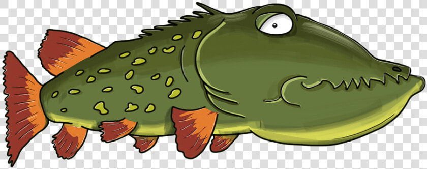 Pike  Fish  Predator  Shchuchin  Hairgrass  Wink   Female Fish Pike Cartoon  HD Png DownloadTransparent PNG