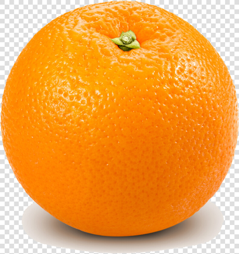 Grapefruit Bitter Orange Lemon   Orange Transparent  HD Png DownloadTransparent PNG