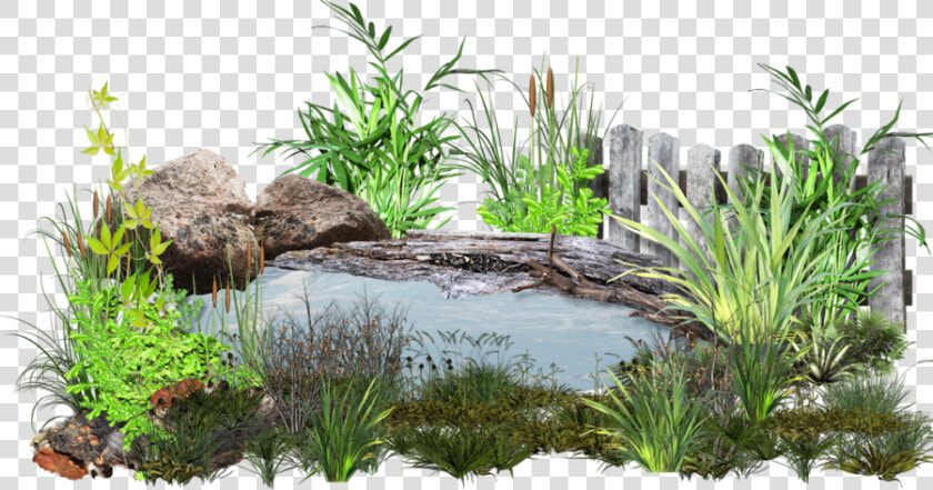 Water Garden Png   Garden Pond Png  Transparent PngTransparent PNG