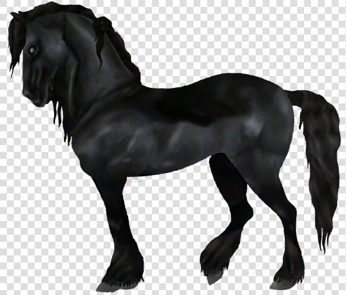 Transparent Horses Friesian   Star Stable Horse Transparent  HD Png DownloadTransparent PNG