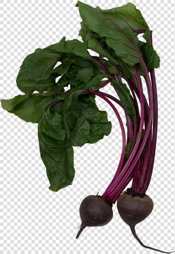 The Grove Juice Truck   Beet Greens  HD Png DownloadTransparent PNG