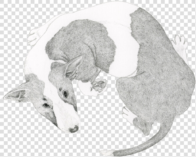 Transparent Energizer Bunny Png   Bull Terrier Spinning Drawing  Png DownloadTransparent PNG