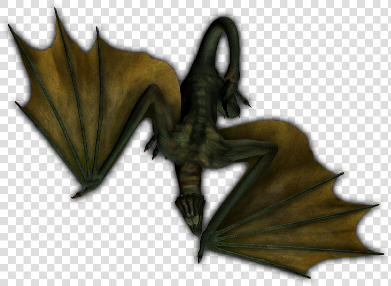 Wyvern Png  Transparent PngTransparent PNG