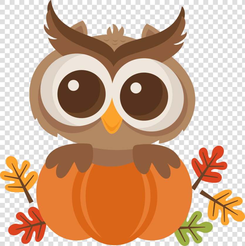 Mkc Owlinpumpkin Svg Baby Shower Fall  Fall Baby  Pumpkin   Cute Fall Owl Clipart  HD Png DownloadTransparent PNG