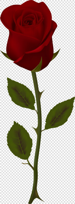 Dark Flower Png   Dark Red Rose Clipart  Transparent PngTransparent PNG