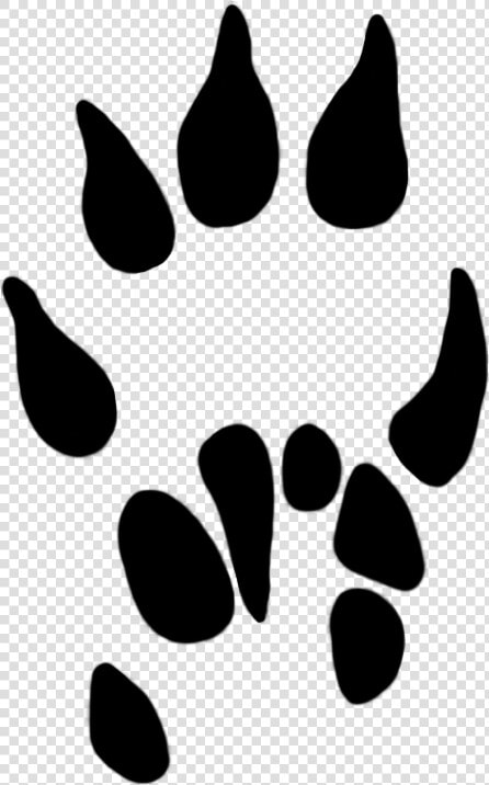 Paw Prints Clipart Mole Paw 13 Mm   Mole Rat Paw Print  HD Png DownloadTransparent PNG