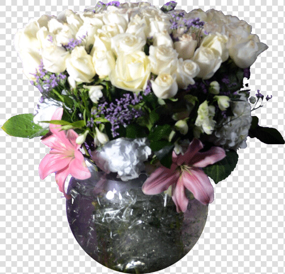 Transparent Rosas Blancas Png   Garden Roses  Png DownloadTransparent PNG