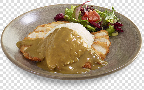 High Angle Picture Of Our Chicken Katsu Curry Dish   Wagamamas Chicken Katsu Curry  HD Png DownloadTransparent PNG