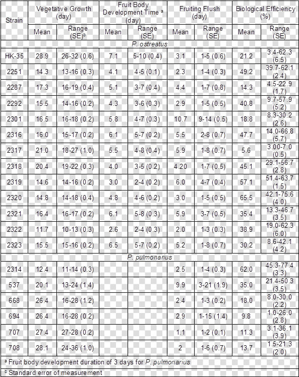 South America Word Search Puzzle Answers  HD Png DownloadTransparent PNG