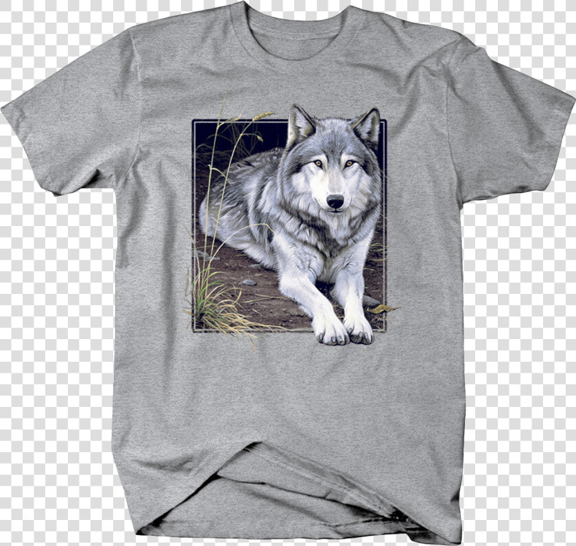 Grey Wolf Sitting On Wilderness Ground Staring Custom   Puppy  HD Png DownloadTransparent PNG