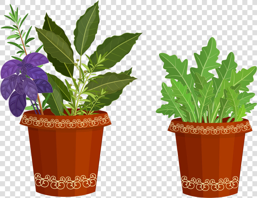 Transparent Potted Plant Png   Potted Plants Clip Art  Png DownloadTransparent PNG