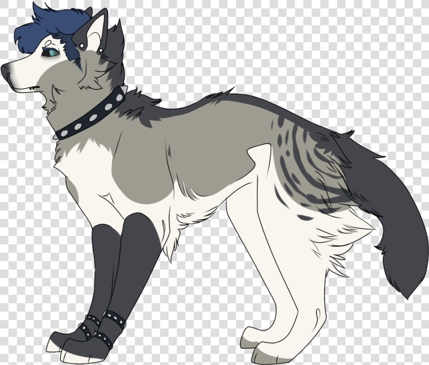 Mackenzie River Husky  HD Png DownloadTransparent PNG