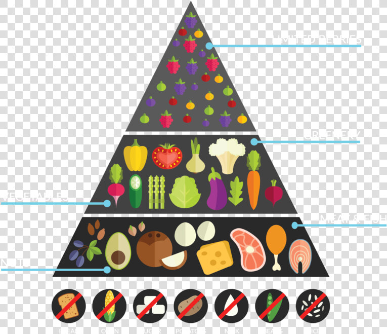 Clip Art Keto Diet Food Pyramid   Keto Diet Food Chain  HD Png DownloadTransparent PNG