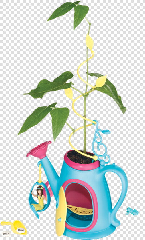 Houseplant  HD Png DownloadTransparent PNG