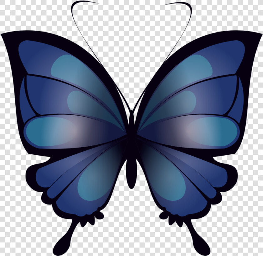 Mariposa Azul Blue By   Lycaenid  HD Png DownloadTransparent PNG