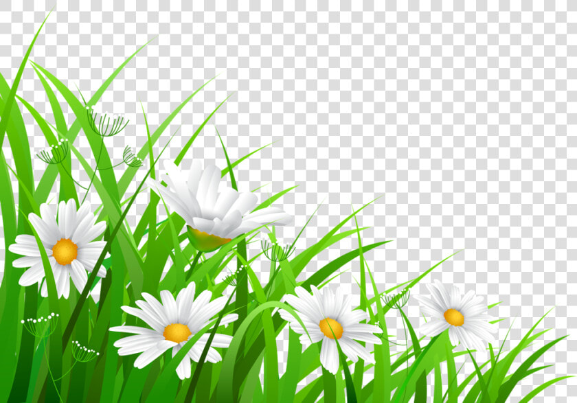 Transparent Grass   Открытки С Добрыми Пожеланиями Скачать Бесплатно  HD Png DownloadTransparent PNG