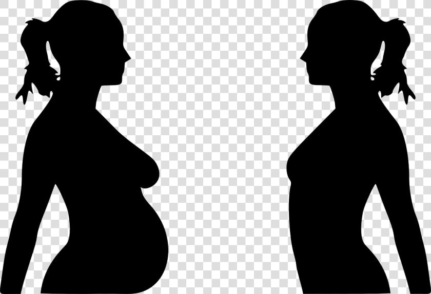 Pregnant And Non Pregnant  HD Png DownloadTransparent PNG