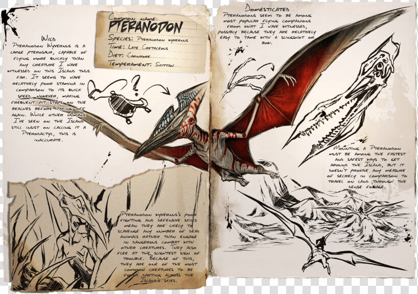 Ark Survival Evolved Pteranodon  HD Png DownloadTransparent PNG