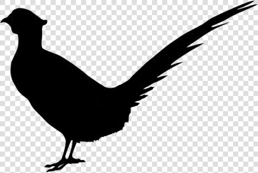 Pheasant   Png Download   Silhouette Pheasant Png  Transparent PngTransparent PNG