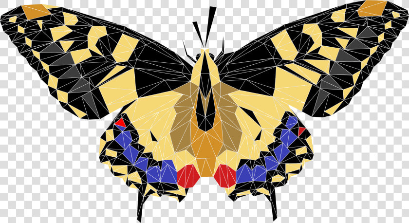 Low Poly Butterfly Clip Arts   Lepidoptera Png  Transparent PngTransparent PNG