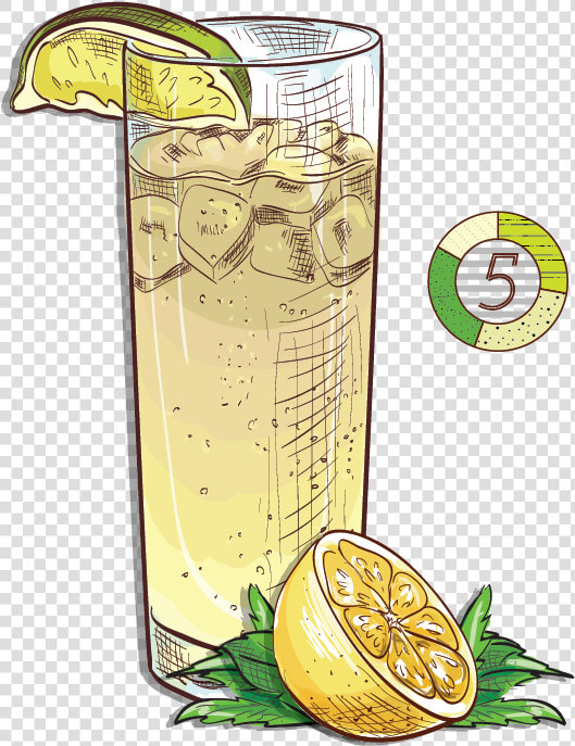 Espirito Xvi Cachaca Lemon Mint Ginger Beer Sweet Simple   Domaine De Canton  HD Png DownloadTransparent PNG