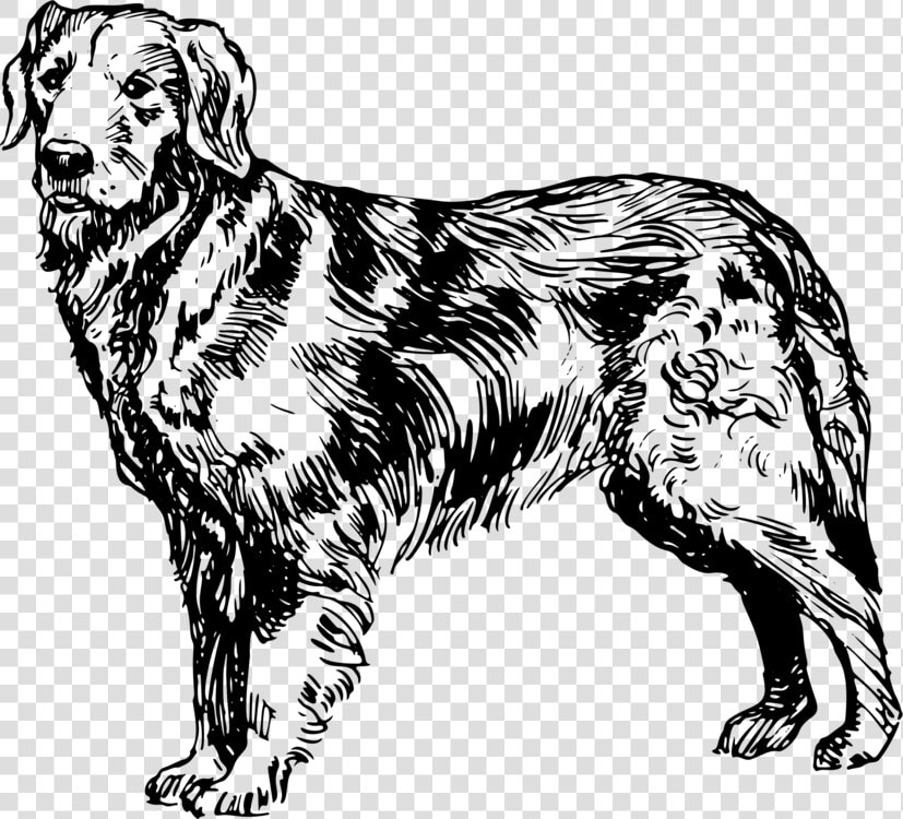 Ancient Dog Breeds line Art carnivore  HD Png DownloadTransparent PNG