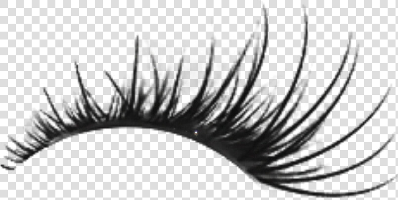 Transparent Eyelash Clipart   Eyelash Png  Png DownloadTransparent PNG