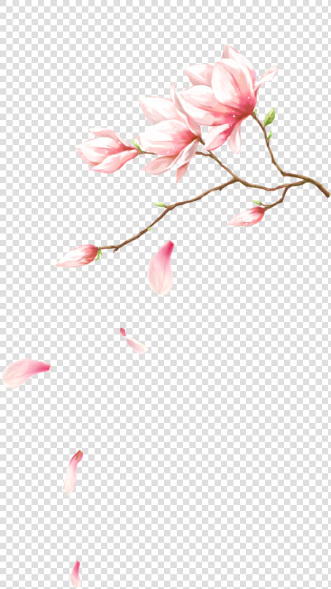  rosa  petalas  flor  vetor  vector  galho  galhos   Flower Petal Falling  HD Png DownloadTransparent PNG