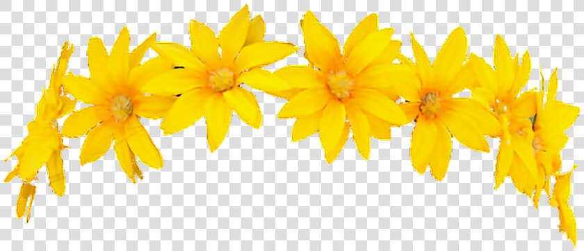  snapchat  filter  flowercrown  character  render  freetouse   Yellow Flower Crown Png  Transparent PngTransparent PNG