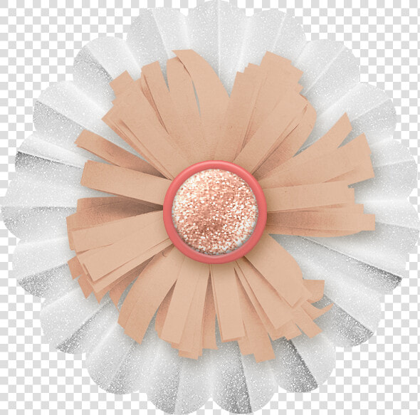  cuorelucymy   Barberton Daisy  HD Png DownloadTransparent PNG