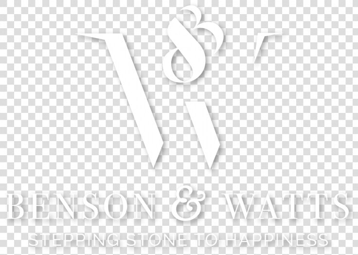 Bensonandwatts Logo Dropshadow   Sound Of Now 2010 Vol  HD Png DownloadTransparent PNG