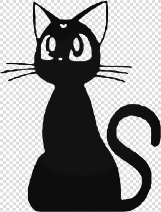 Transparent Gatos Png  Png DownloadTransparent PNG