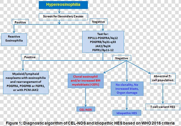 Chronic Eosinophilic Leukemia Criteria  HD Png DownloadTransparent PNG