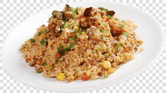 Japanese Fried Rice Eel  HD Png DownloadTransparent PNG