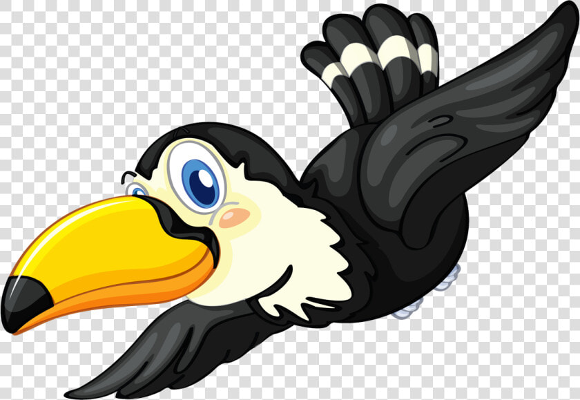 Discover Ideas About Bird Clipart   Toucan Clipart No Background  HD Png DownloadTransparent PNG