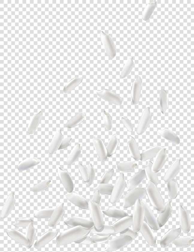 White Rice Png Download Image   Grain Rice Vector  Transparent PngTransparent PNG