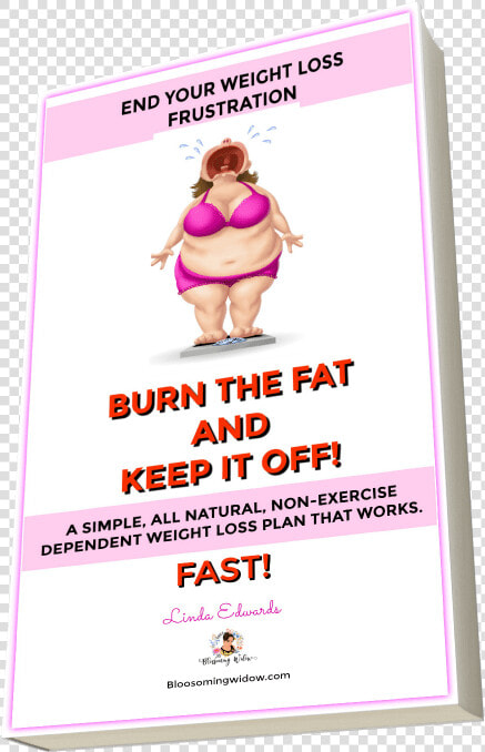 Burn The Fat And Keep It Off Weight Loss Plan   Poster  HD Png DownloadTransparent PNG