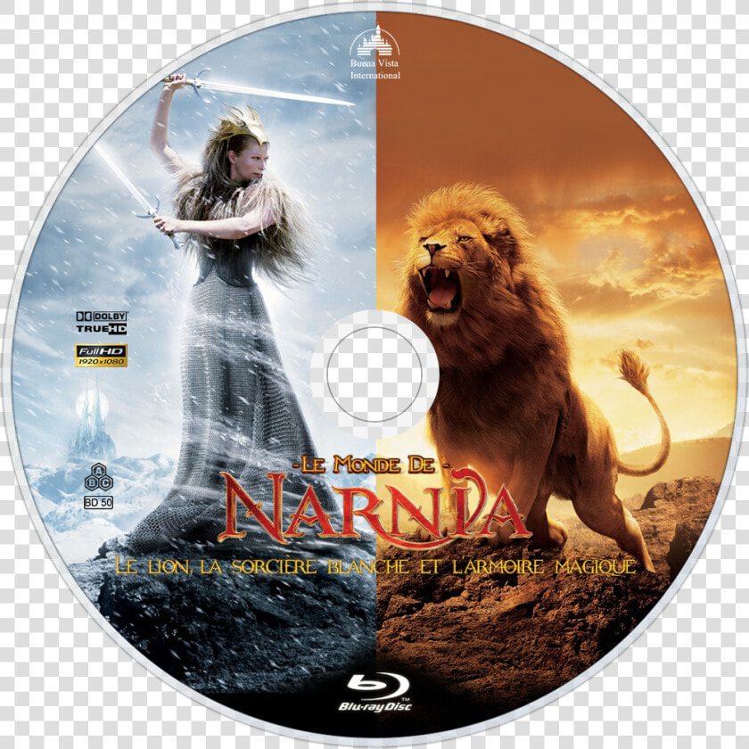 Chronicles Of Narnia The Lion The Witch  HD Png DownloadTransparent PNG