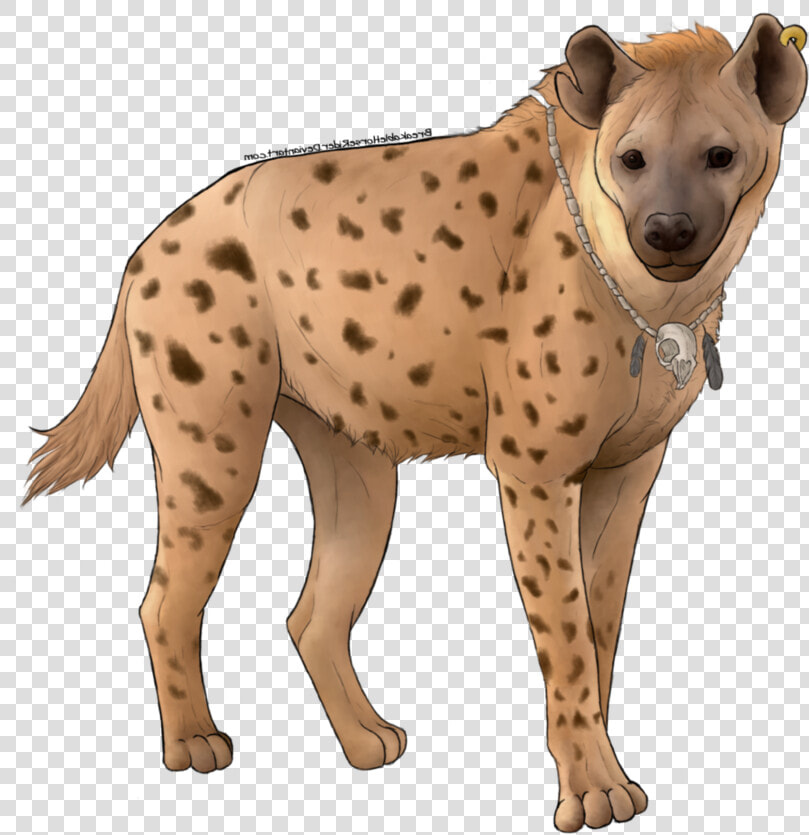 Hyena Png Free Images   Spotted Hyena  Transparent PngTransparent PNG