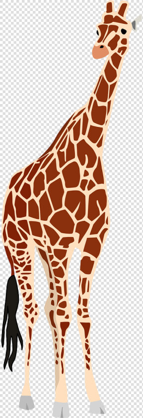 Giraffe Africa Safari Free Picture   Animais Da Africa Png  Transparent PngTransparent PNG