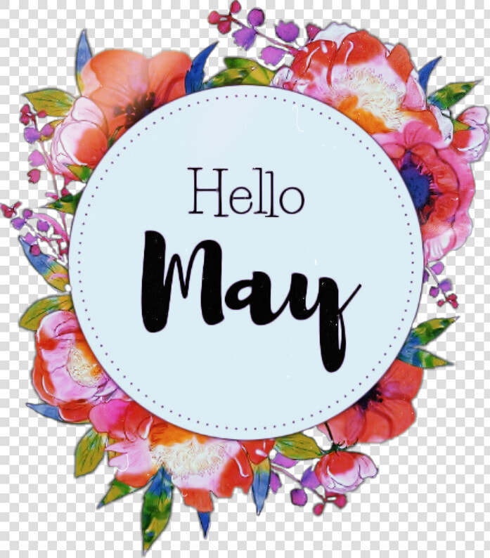 Transparent May Flowers Png   Hello May Sticker  Png DownloadTransparent PNG