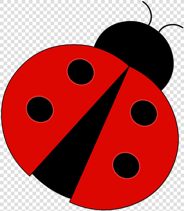 Download Red Ladybug Png Pic   Clip Art Ladybug  Transparent PngTransparent PNG