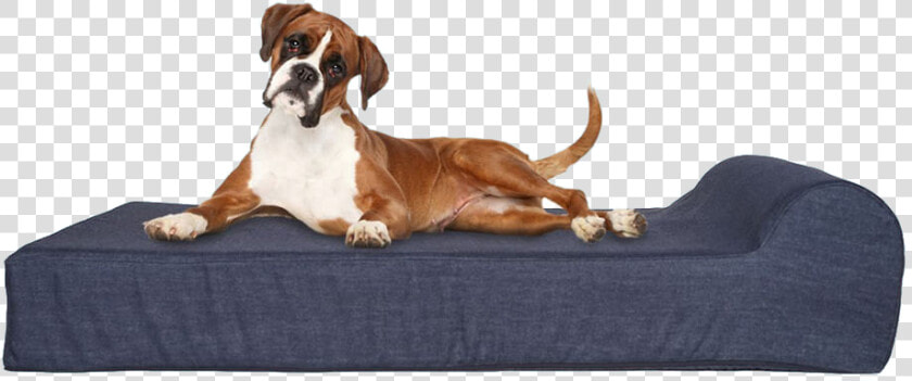 Dog On Bed   Memory Foam Orthopedic Dog Bed  HD Png DownloadTransparent PNG