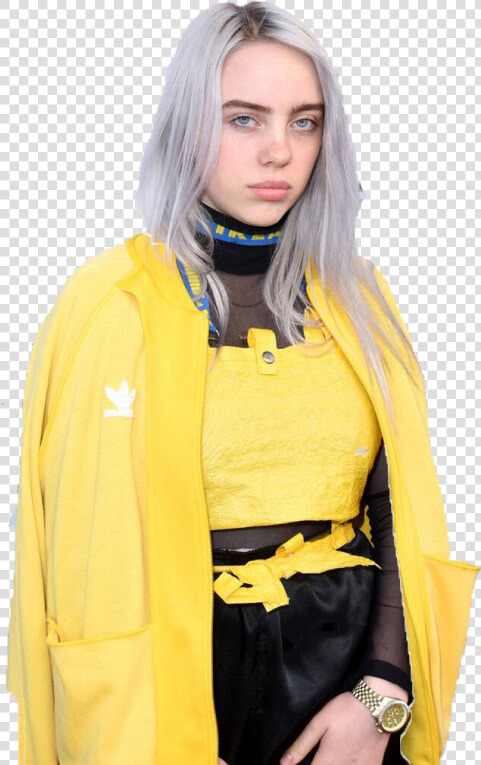 Billie Eilish Ikea Bag Outfit  HD Png DownloadTransparent PNG