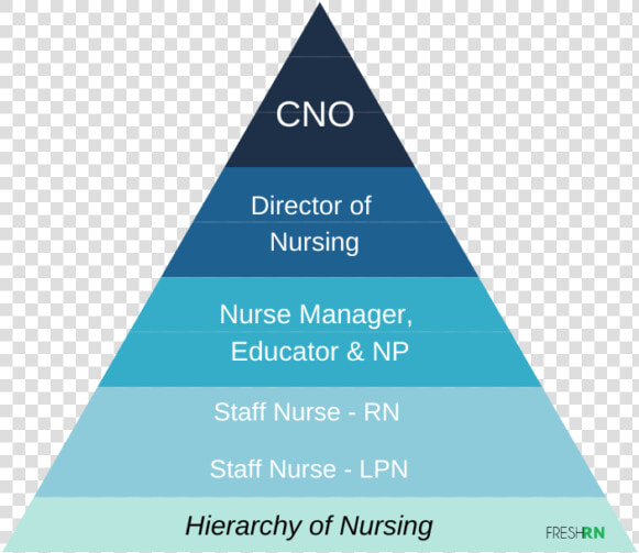 Hierarchy Of Nursing   Triangle  HD Png DownloadTransparent PNG