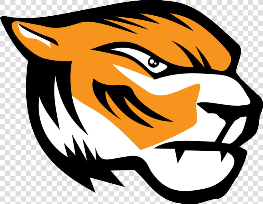 Domžale Tigers Logo   Domzale Tigers  HD Png DownloadTransparent PNG