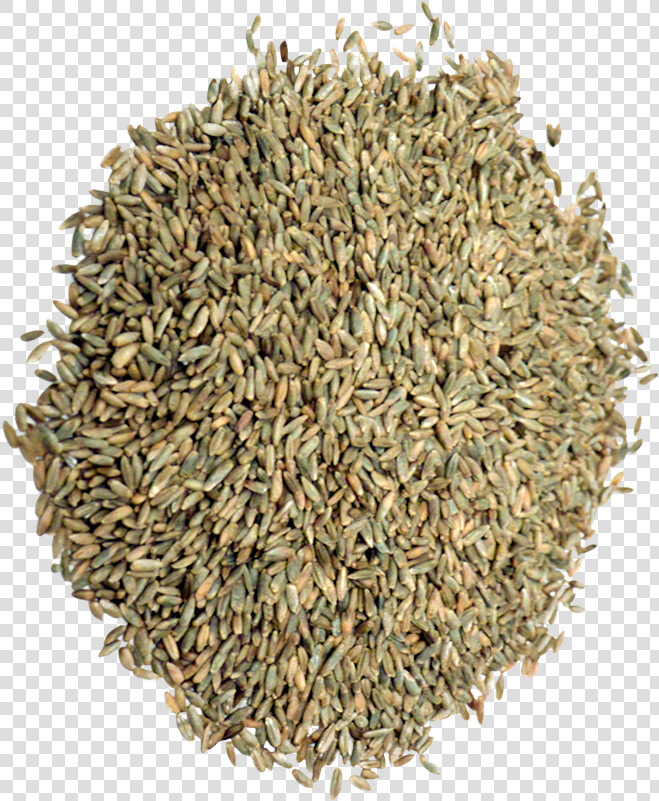 Organic Rye Grain   Cumin  HD Png DownloadTransparent PNG