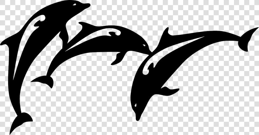 Dolphin  Fish  Jumping  Animal  Mammal  Silhouette   Dolphin Images Black And White  HD Png DownloadTransparent PNG