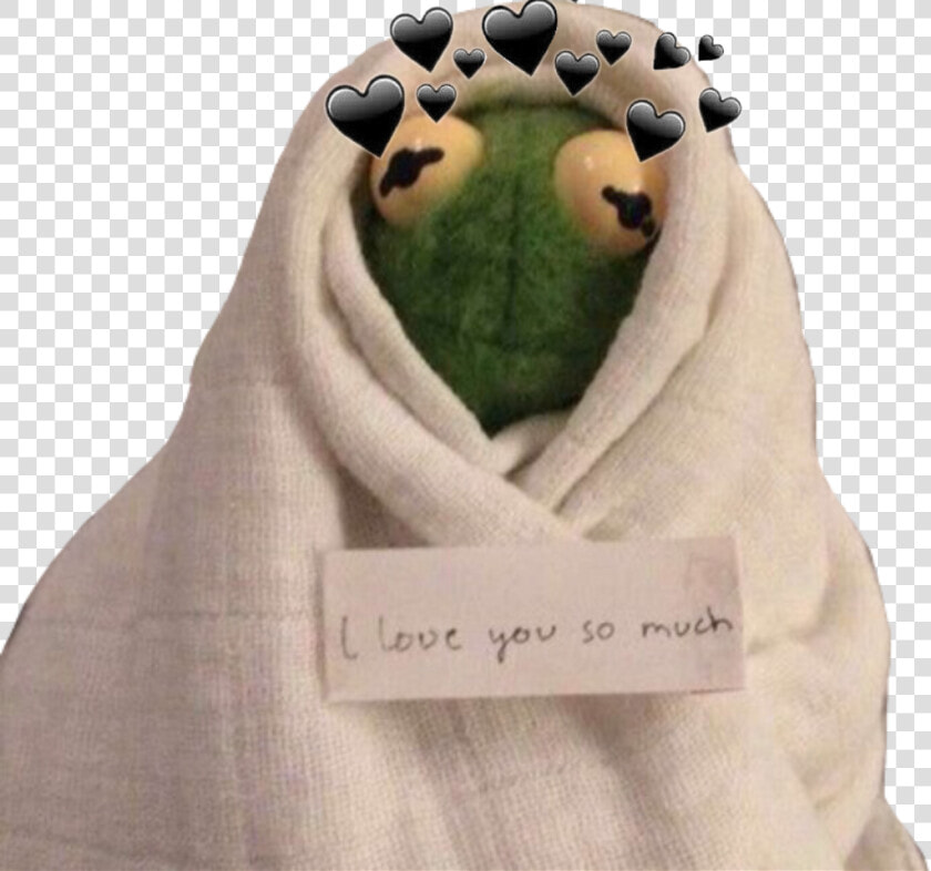 Transparent Kermit Png   Kermit In A Blanket  Png DownloadTransparent PNG